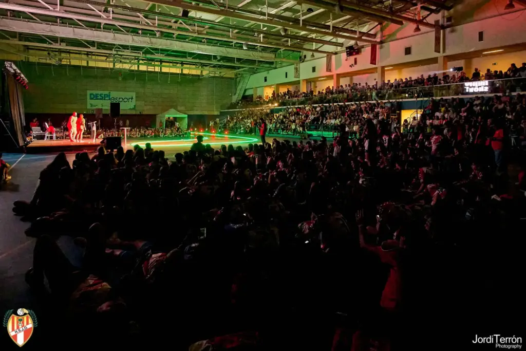 Handbol Sant Joan Despí 