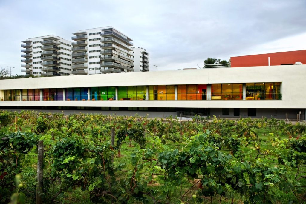 Sant Joan Despí rep tres flors d’honor com a ‘Vila Florida’