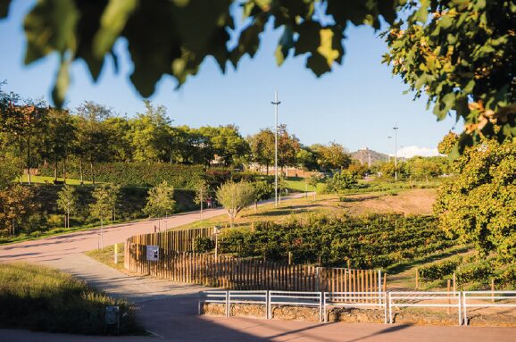 El pròxim 7 de maig comença el nou programa 'Entrena Salut', un projecte que proposa diferents exercicis físics a l'aire lliure amb l'acompanyament de personal tècnic especialitzat.